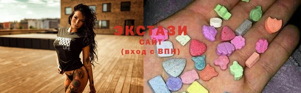 ECSTASY Каменка