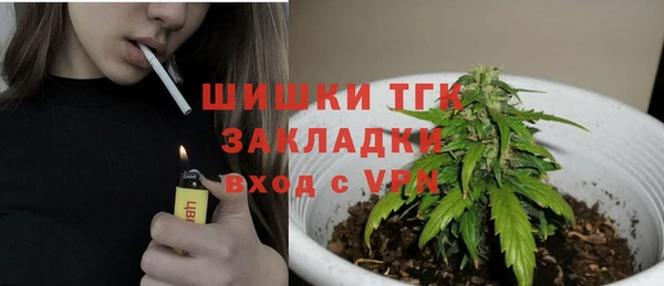 ECSTASY Каменка