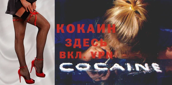 ECSTASY Каменка