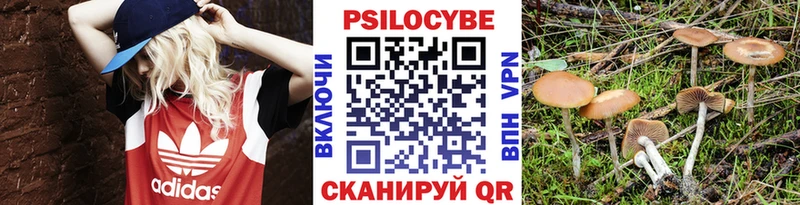 Псилоцибиновые грибы ЛСД  магазин    Электроугли 