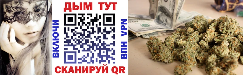 Бошки Шишки планчик  Электроугли 